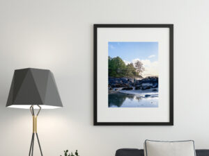 Cedarwood Glass photo 2