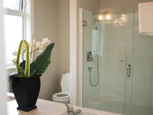 Cedarwood Glass photo 5